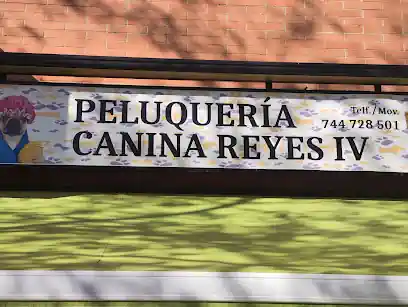 Escuela y Peluqueria Canina Reyes 4