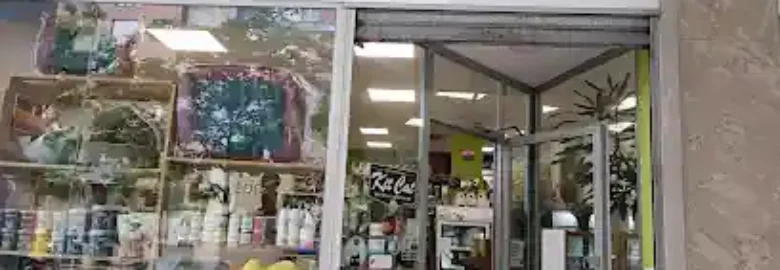FACEDOG