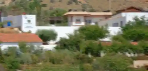 Finca Los Fresnos | Adiestrador Canino | Formación perros Seguridad Alicante