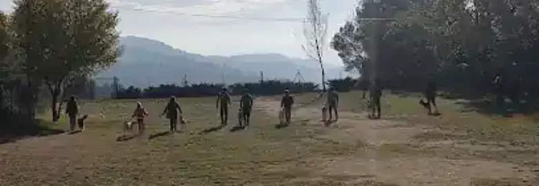 Font Galí Residéncia Canina