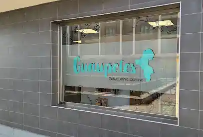 GUAUpetes! peluquería canina
