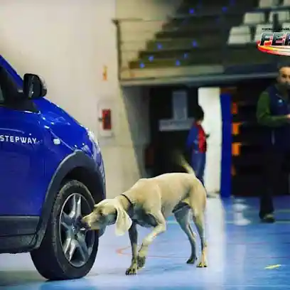 General Dog