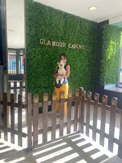 Glamour Canino Spa