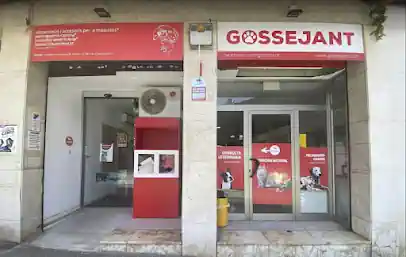 Gossejant Peluqueria Canina