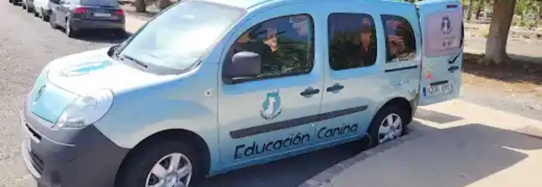 Grancanino adiestramiento y educación