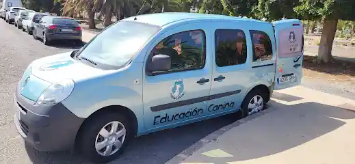 Grancanino adiestramiento y educación