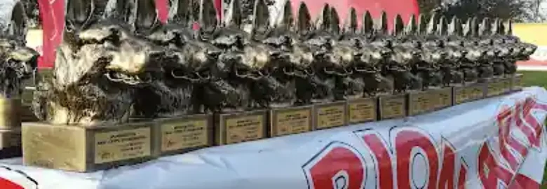 Grupo De Trabajo canino Nueva Escocia