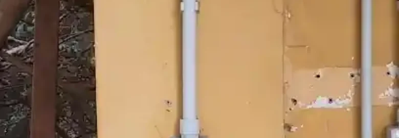 Guardería PetSky