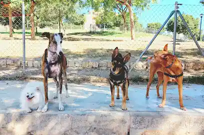 Guardería canina Creciendo Juntos
