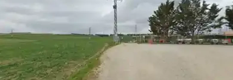Guardería canina arberoki