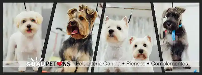 Guaupetons Peluqueria Canina