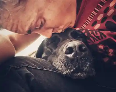 Hablando Canino