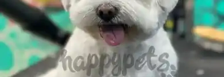 Happy Pets peluquería canina y felina