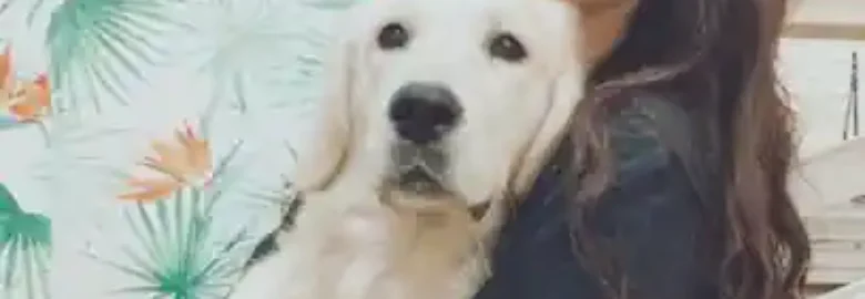 Hocicos -Peluquería Canina