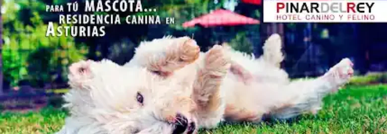 Hotel Canino Pinar del Rey