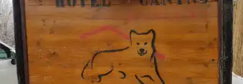 Hotel Canino y Felino Kabluna