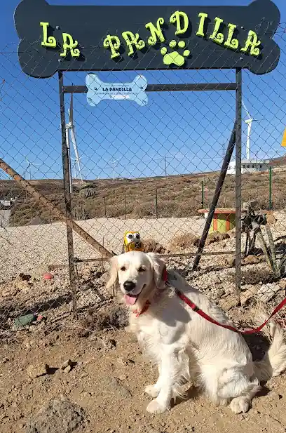 Hotel canino La Pandilla