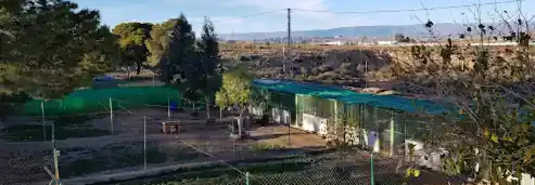 Hotel canino Los Pinos