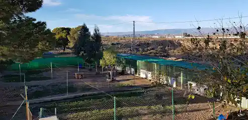 Hotel canino Los Pinos_6bQ1