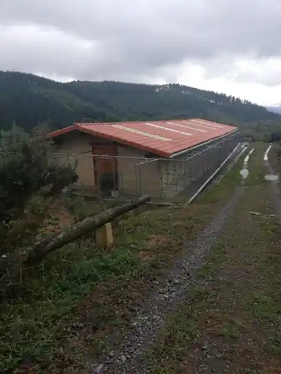 Hotel canino Orbela txakur egoitza