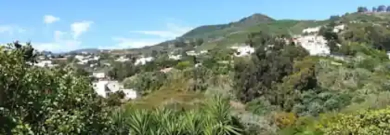 Hotel canino nikkita