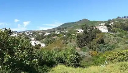 Hotel canino nikkita