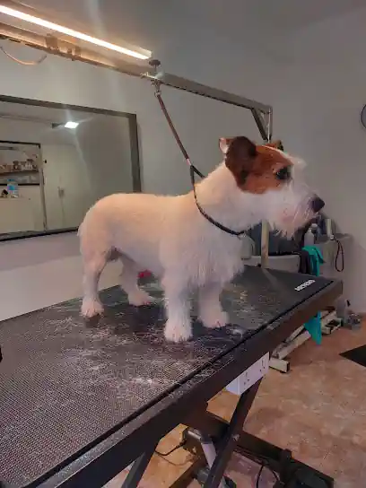 Huellas Peluqueria Canina