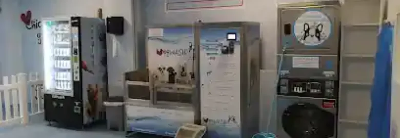 I Love Dog Wash Alcalá de Henares | Autolavado de mascotas y Peluquería canina
