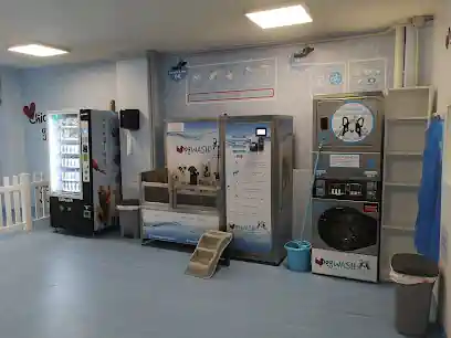 I Love Dog Wash Alcalá de Henares | Autolavado de mascotas y Peluquería canina