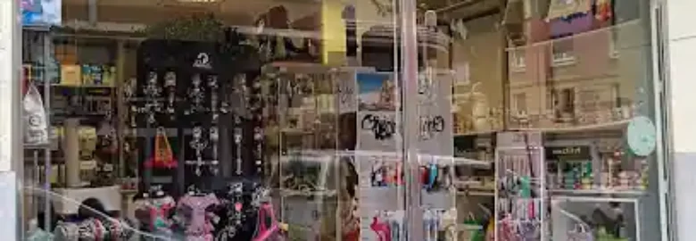 Ileak Peluquería Canina