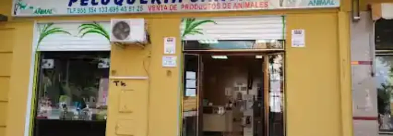 Junglanimal