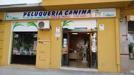 Junglanimal