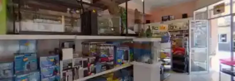 Kaimoix Tienda de Animales