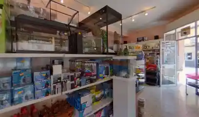 Kaimoix Tienda de Animales