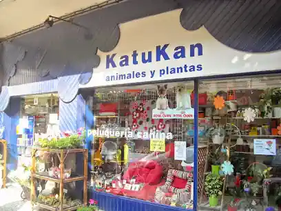 Katukan Romo