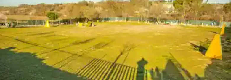 Kawana Centro Canino