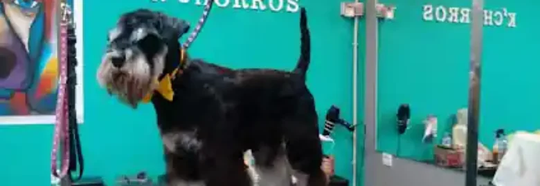 K’chorros peluquería canina