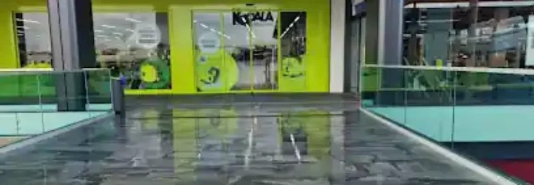 Koala Mascotas Open Mall