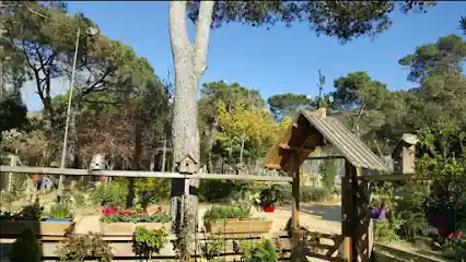 Kynoikos residència canina