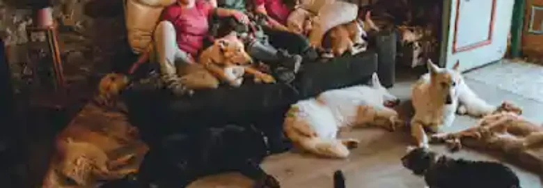 La Canina