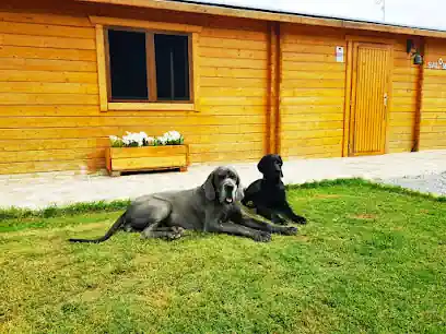 La Casa Del Dogo