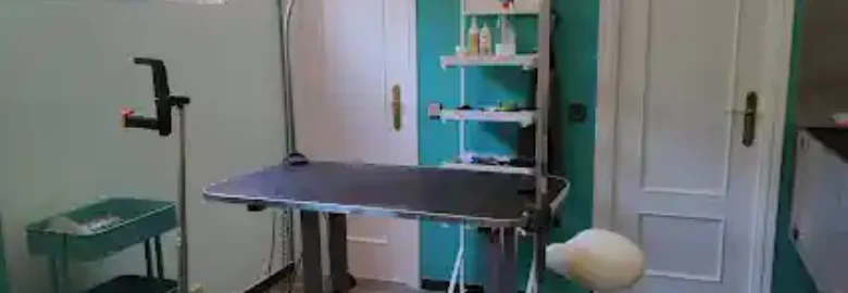 La Pelu de Fiona – Peluquería Canina