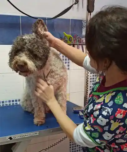 La Pelu de Vital