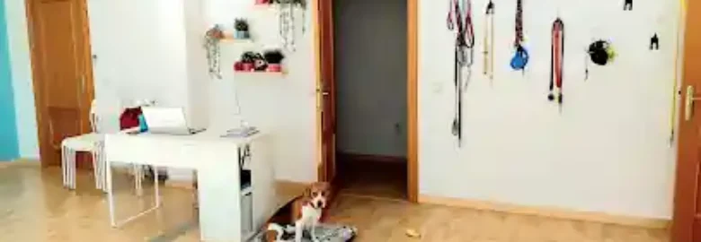 La Petucasa Guardería Canina