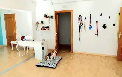 La Petucasa Guardería Canina