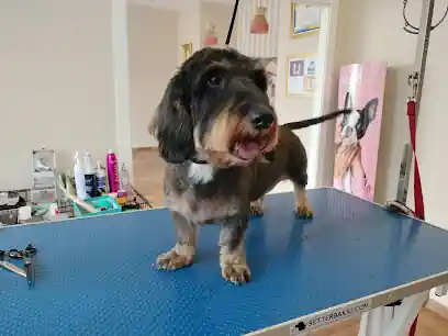 La peluqueria de Bruno