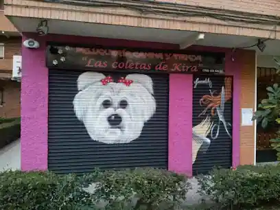 Las coletas de Kira