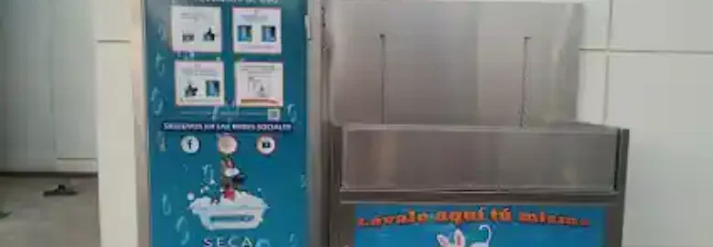 Lavado de Mascotas