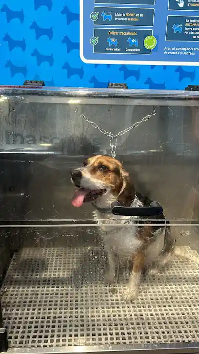 Lavakan | Spa per mascotes