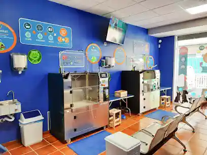 Lavakan | Spa per mascotes